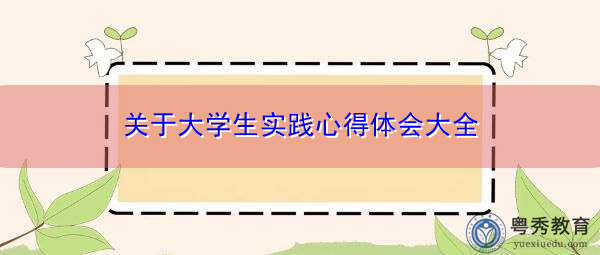 关于大学生实践心得体会大全 关于大学生实践心得体会大全