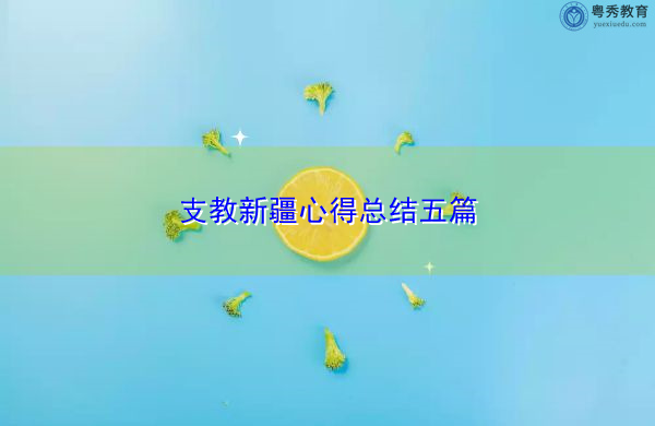 支教新疆心得总结五篇 支教新疆心得总结五篇