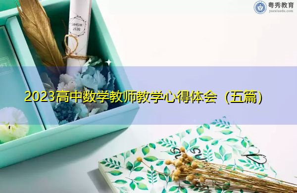 2023高中数学教师教学心得体会（五篇）