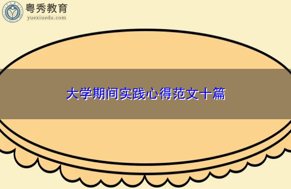 大学期间实践心得范文十篇