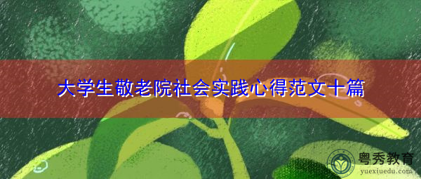 大学生敬老院社会实践心得范文十篇