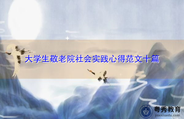 大学生敬老院社会实践心得范文十篇