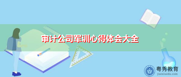 审计公司军训心得体会大全 审计公司军训心得体会大全