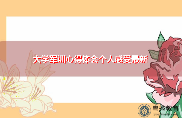 大学军训心得体会个人感受最新
