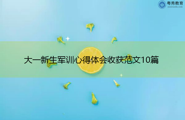 大一新生军训心得体会收获范文10篇 大一新生军训心得体会收获范文10篇