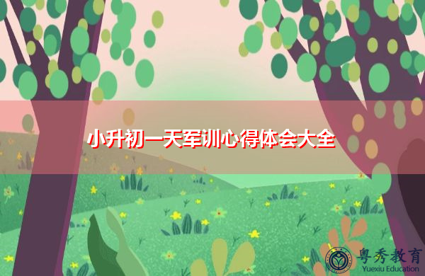 小升初一天军训心得体会大全 小升初一天军训心得体会大全