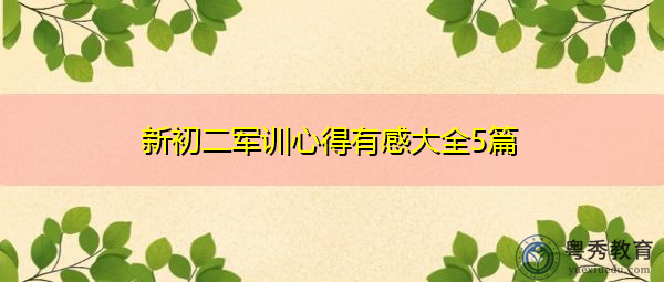 新初二军训心得有感大全5篇