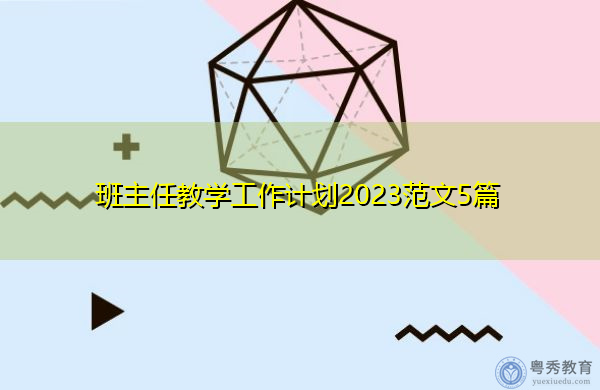 班主任教学工作计划2023范文5篇