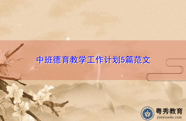中班德育教学工作计划5篇范文