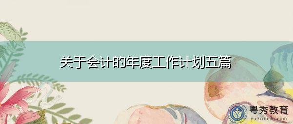 关于会计的年度工作计划五篇