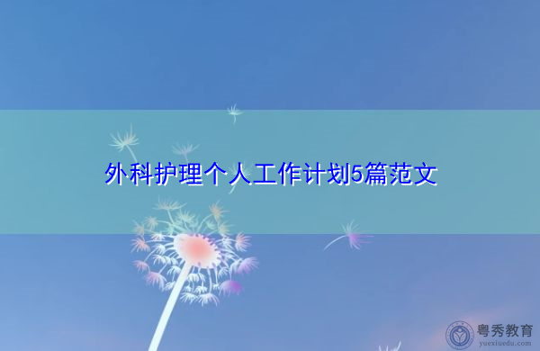 外科护理个人工作计划5篇范文 外科护理个人工作计划5篇范文