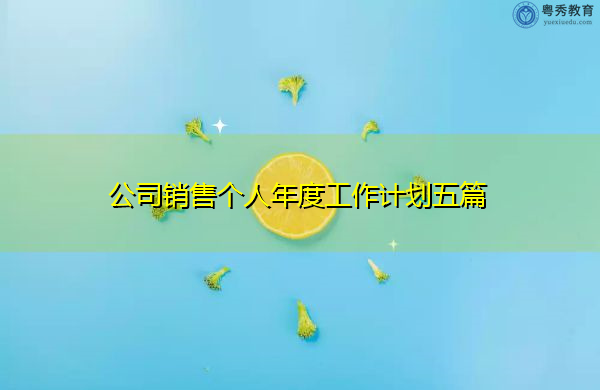 公司销售个人年度工作计划五篇 公司销售个人年度工作计划五篇