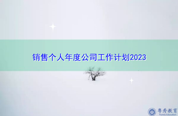 销售个人年度公司工作计划2023 销售个人年度公司工作计划2023