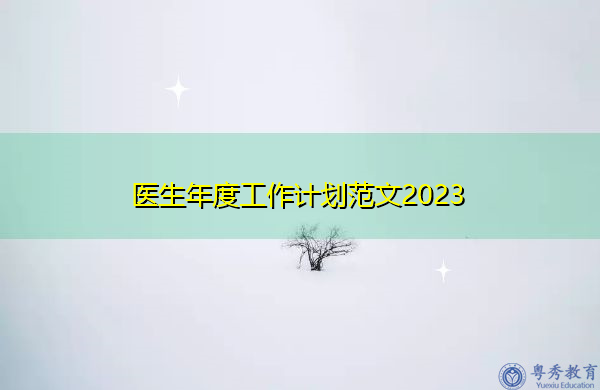 医生年度工作计划范文2023