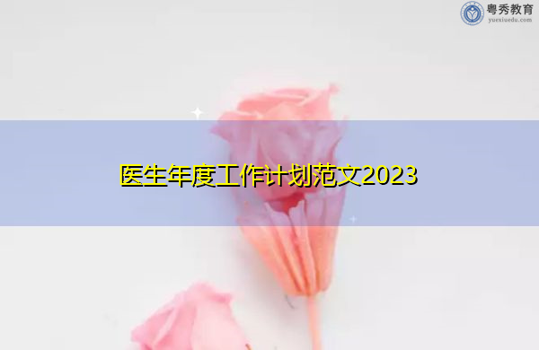 医生年度工作计划范文2023