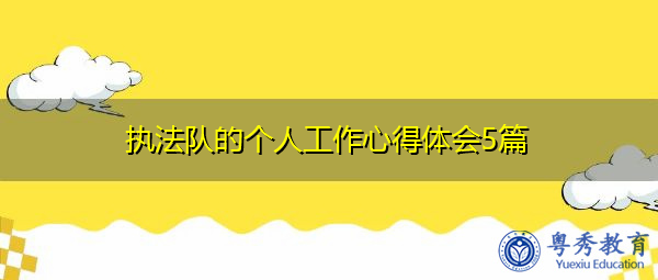 执法队的个人工作心得体会5篇