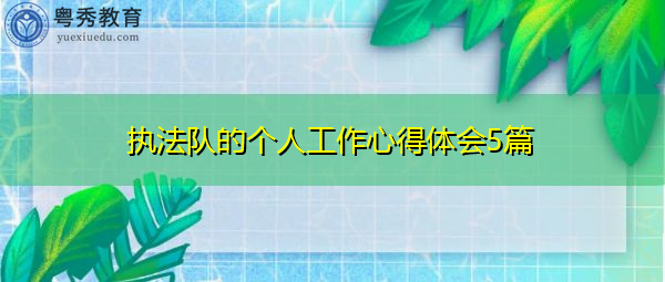 执法队的个人工作心得体会5篇