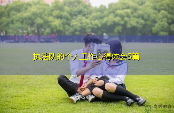 执法队的个人工作心得体会5篇
