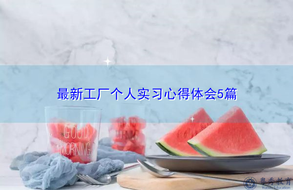 最新工厂个人实习心得体会5篇 最新工厂个人实习心得体会5篇