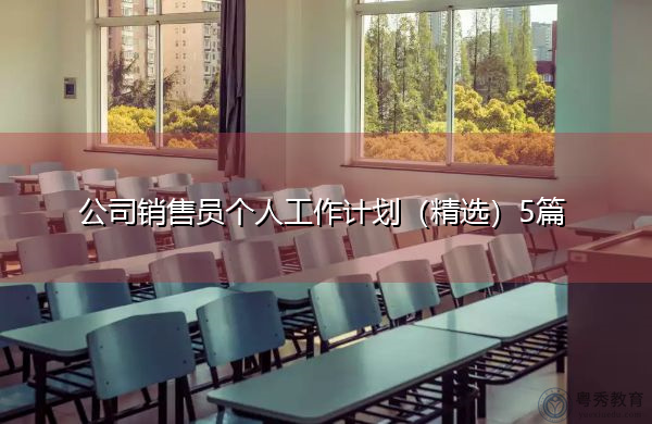公司销售员个人工作计划(精选)5篇 公司销售员个人工作计划(精选)5篇
