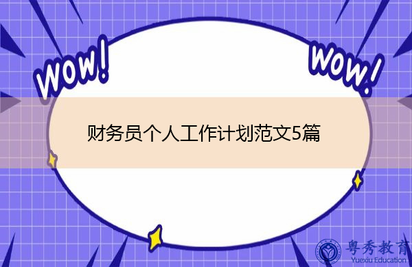 财务员个人工作计划范文5篇