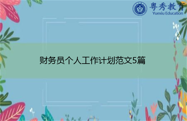 财务员个人工作计划范文5篇