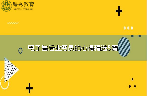 电子售后业务员的心得精选5篇