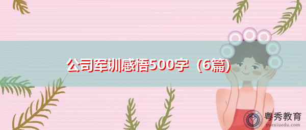 公司军训感悟500字(6篇) 公司军训感悟500字(6篇)