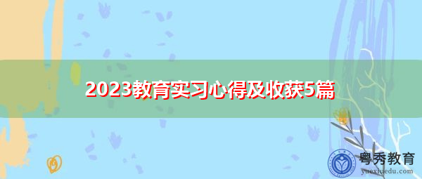 2023教育实习心得及收获5篇