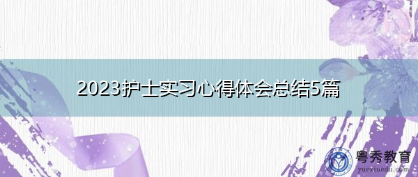 2023护士实习心得体会总结5篇