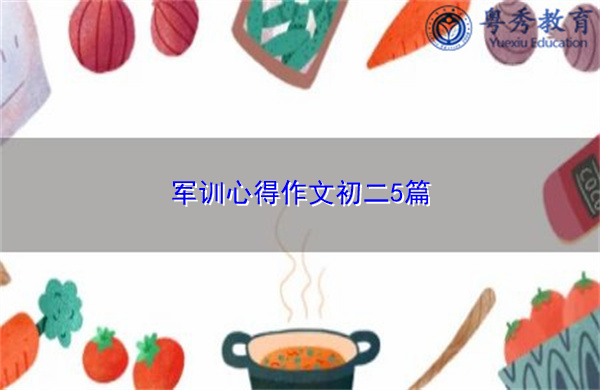 军训心得作文初二5篇