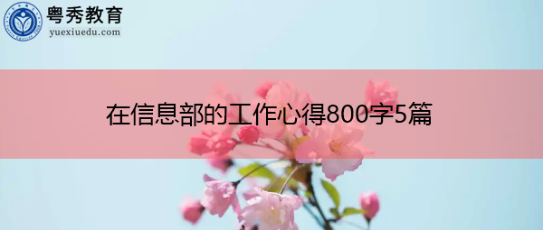 在信息部的工作心得800字5篇 在信息部的工作心得800字5篇