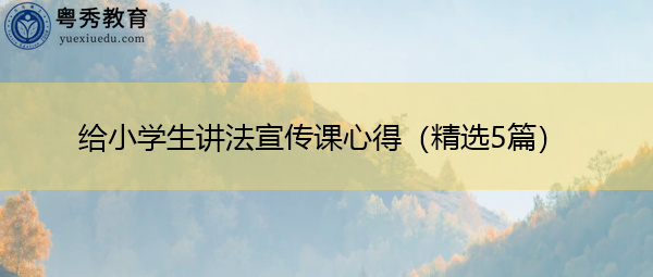 给小学生讲法宣传课心得（精选5篇）