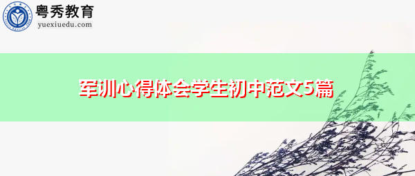 军训心得体会学生初中范文5篇