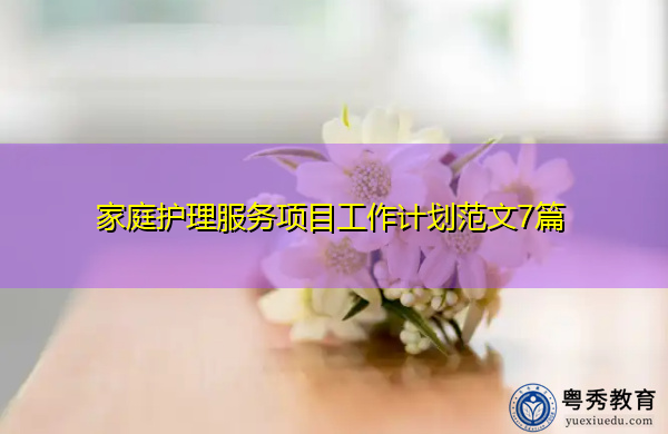 家庭护理服务项目工作计划范文7篇
