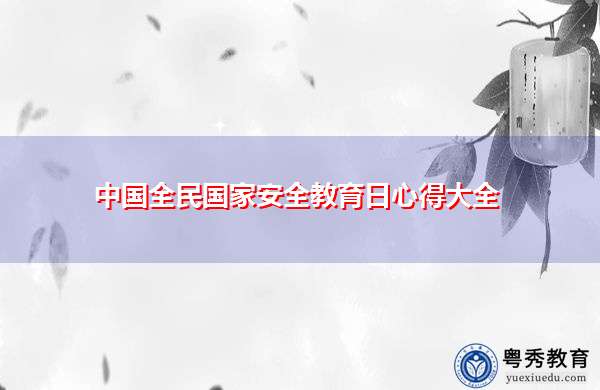 中国全民国家安全教育日心得大全