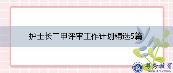 护士长三甲评审工作计划精选5篇 护士长三甲评审工作计划精选5篇
