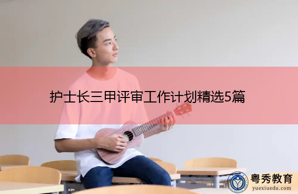 护士长三甲评审工作计划精选5篇 护士长三甲评审工作计划精选5篇