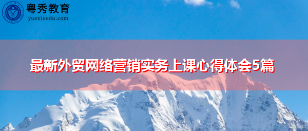 最新外贸网络营销实务上课心得体会5篇