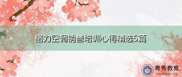 格力空调销售培训心得精选5篇