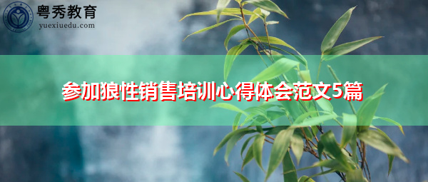 参加狼性销售培训心得体会范文5篇