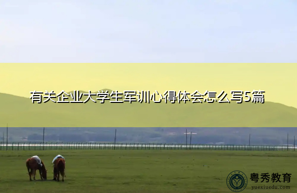 有关企业大学生军训心得体会怎么写5篇 有关企业大学生军训心得体会怎么写5篇