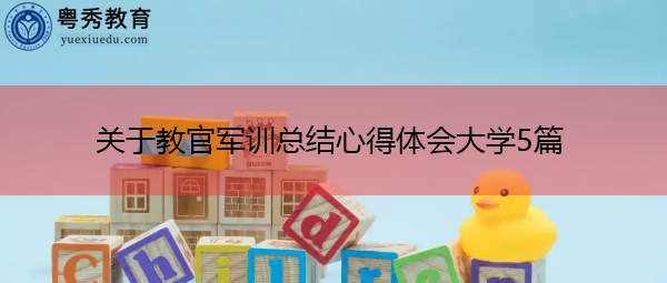 关于教官军训总结心得体会大学5篇