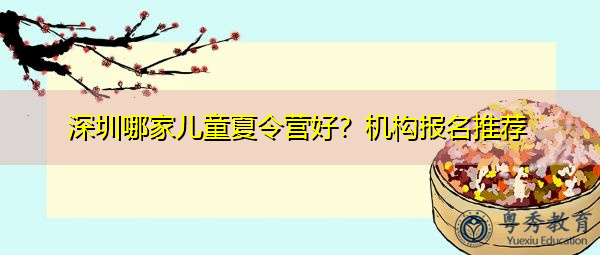 深圳哪家儿童夏令营好？机构报名推荐