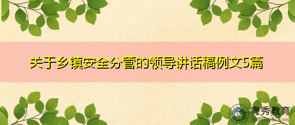 关于乡镇安全分管的领导讲话稿例文5篇