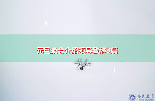 元旦晚会介绍领导致辞3篇 元旦晚会介绍领导致辞3篇