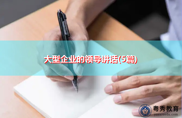大型企业的领导讲话(5篇)