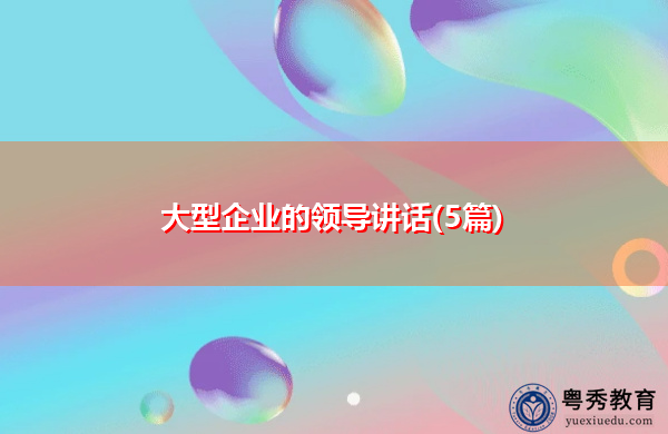 大型企业的领导讲话(5篇)