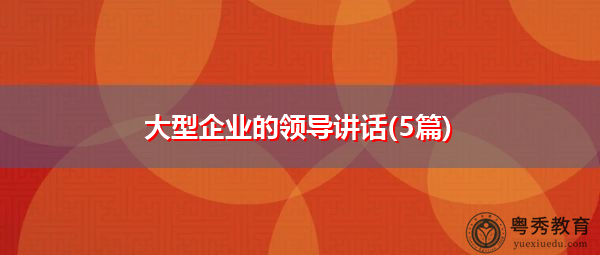 大型企业的领导讲话(5篇)