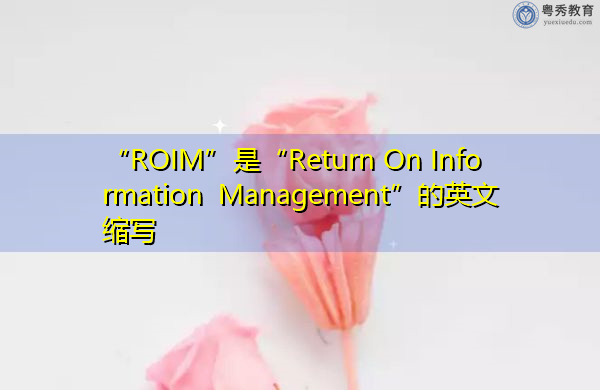 “ROIM”是“Return On Information Management”的英文缩写，意思是“信息管理回报”
